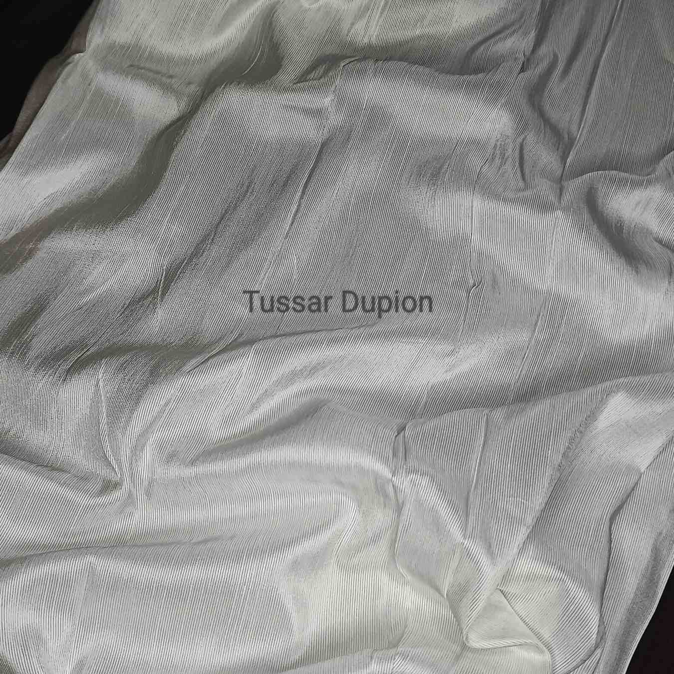 <b>TUSSAR DUPION</b>